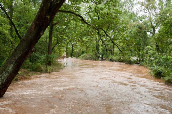 趣聞:泥石流衝翻礦車,司機爬樹求生,泥石流中救出一女子成女友 趣聞:泥石流衝翻礦車,司機爬樹求生,泥石流中救出一女子成女友