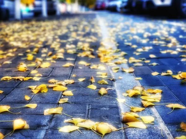 “求半”與“求全”