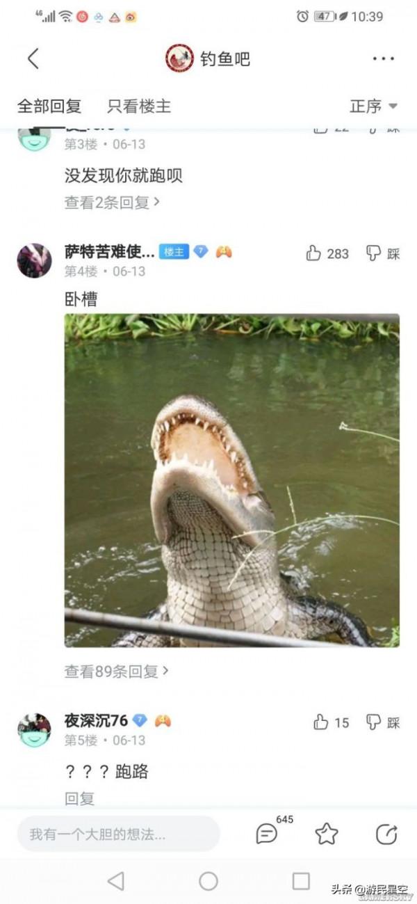 釣魚吧老哥,除了釣魚啥都會 釣魚吧老哥,除了釣魚啥都會