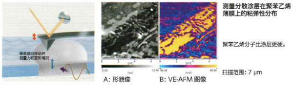掃描探針電子顯微鏡力學特性
