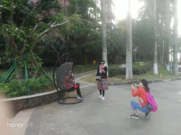 海南旅遊紀實之三