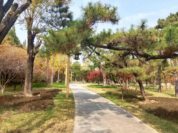 膠州之行_龍門古街