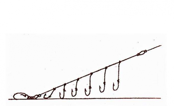 湖南最嚴禁漁令1月1日起實行,賣仕掛商家看到欲哭無淚,發生了什麼