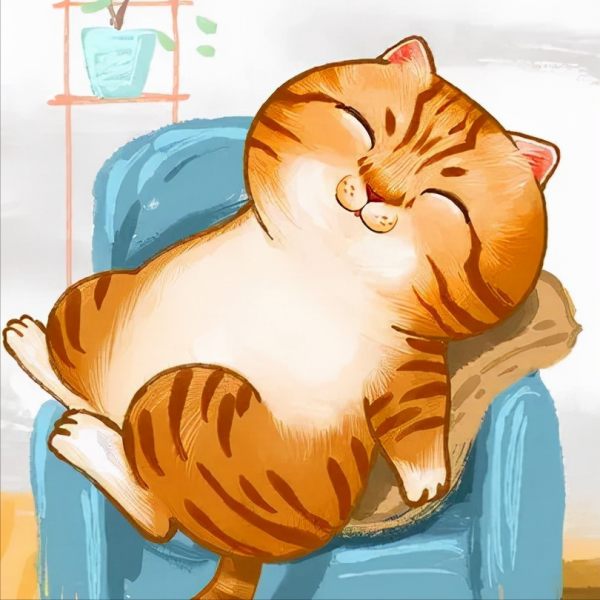 空調外機對著我家窗戶吹,該怎麼解決? 空調外機對著我家窗戶吹,該怎麼解決?