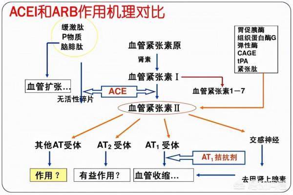吃了降壓藥，血壓還是很高，這是怎麼回事？