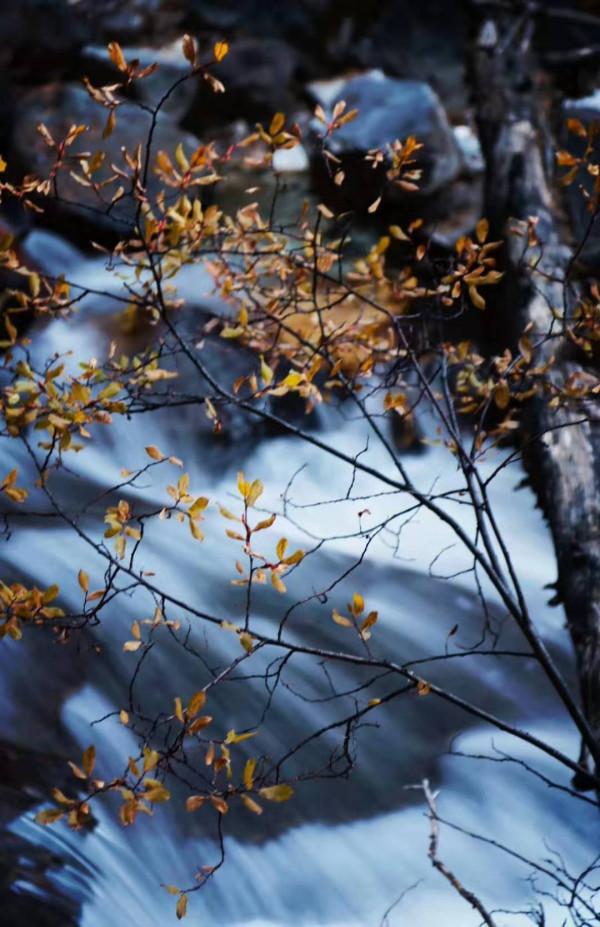 旅行，抓準時機和選擇目的地一樣重要