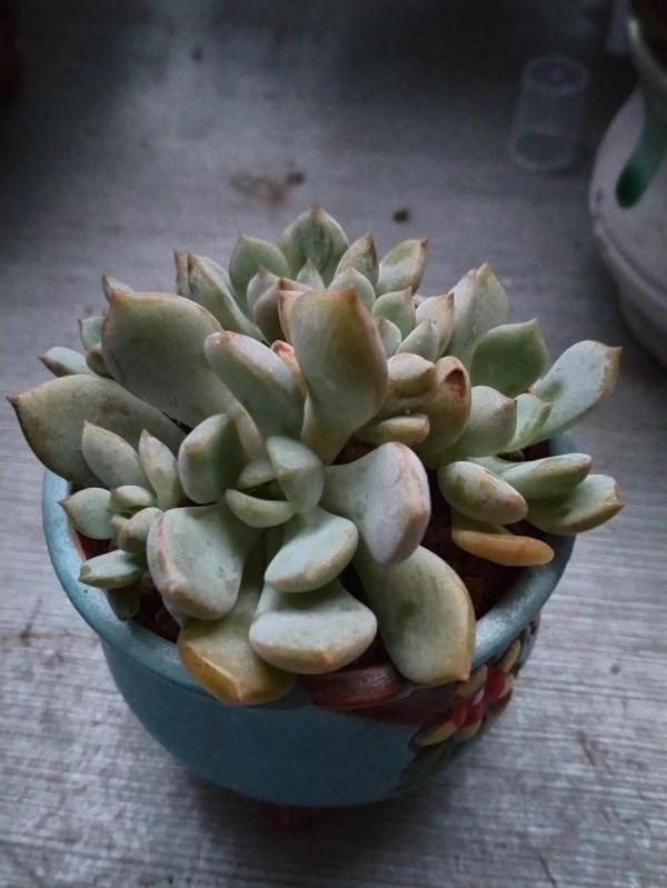 這天氣變的真快