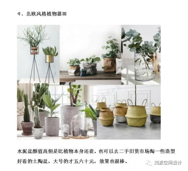 沒有這些綠植，怎麼能叫北歐風？
