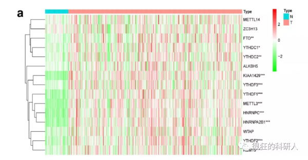 爛大街的純生信只要這樣打扮一下就可以得到期刊的青睞