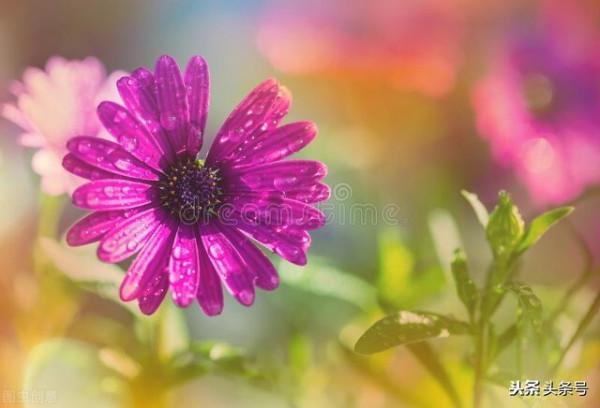 雙子座9月22號運勢解讀