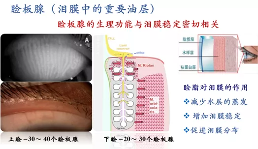 眼睛星球守護著你的安全感,癢/幹/畏光/敏感怎麼辦? 眼睛星球守護著你的安全感,癢/幹/畏光/敏感怎麼辦?