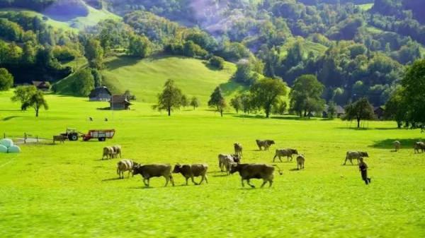 歐洲旅行第六天「瑞士鐵力山」