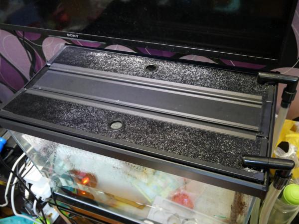 從出殼養到大的浪漫,烏龜蛋孵化選購經驗談及龜苗過冬裝備推薦 從出殼養到大的浪漫,烏龜蛋孵化選購經驗談及龜苗過冬裝備推薦