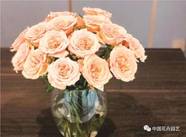 切花：開拓花卉行業“中國芯”|“中國產品中國造”專題