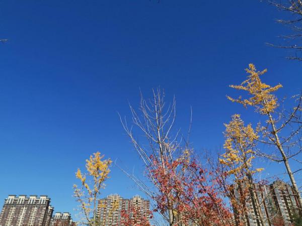 三十三歲隨筆：活在當下，做簡單的自己