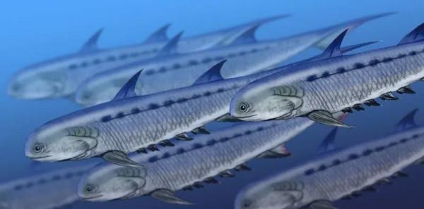 脊椎動物崛起，目標征服陸地——泥盆紀