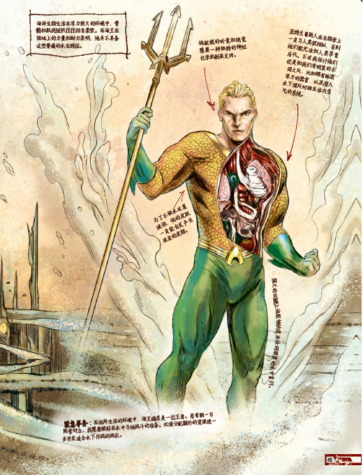 蝙蝠俠的絕密筆記：對超人類的身體研究，與潛在威脅的反制計劃