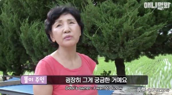 狗媽生了50只一模一樣的狗崽...裝監控、DNA鑑定只為找出渣爹 狗媽生了50只一模一樣的狗崽...裝監控、DNA鑑定只為找出渣爹