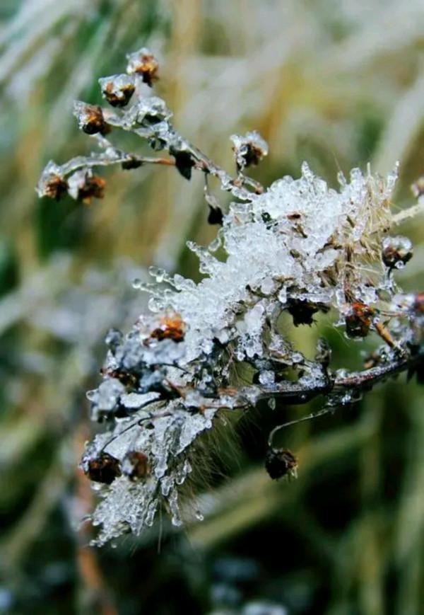 散文:落雪隨喜,人生隨想 散文:落雪隨喜,人生隨想