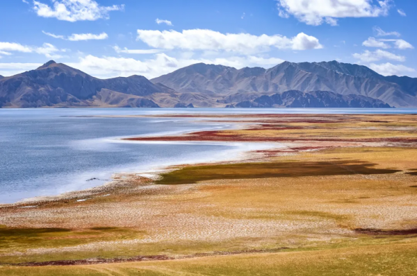 青海的這個地方要火了,秋天一定要去一次,中國最後的一片淨土 青海的這個地方要火了,秋天一定要去一次,中國最後的一片淨土
