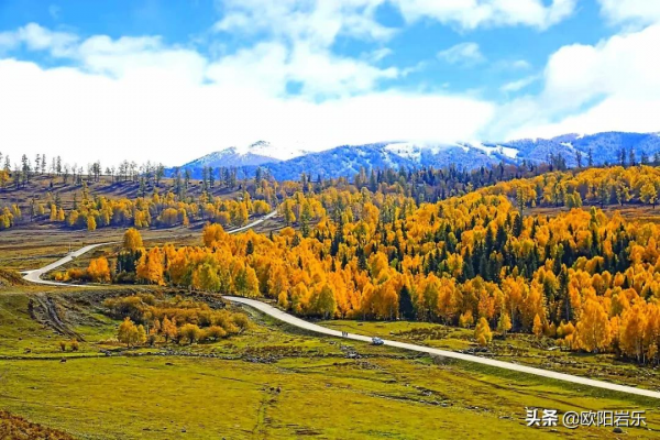 秋去秋來！中國最美的12個地方，你去過幾個？