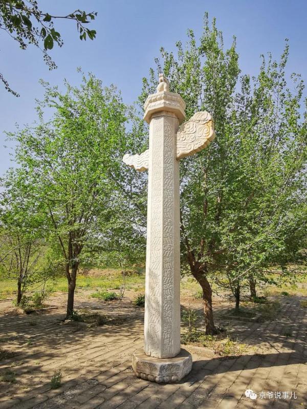 驚詫!京郊一古墓的“贔屓”居然回頭了 驚詫!京郊一古墓的“贔屓”居然回頭了