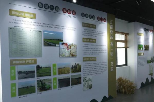 走,到練塘徐練村打卡去 走,到練塘徐練村打卡去