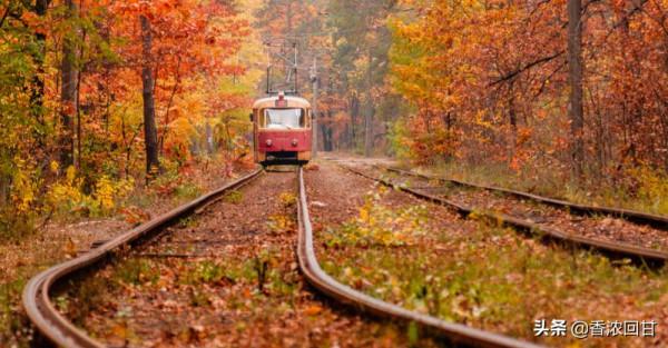 農曆十月整體運解析:掌握「十」來運轉的契機 農曆十月整體運解析:掌握「十」來運轉的契機