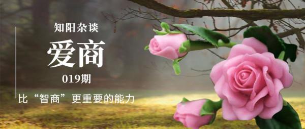 一個愛商高的人，通常具備3種能力：遠比智商更重要