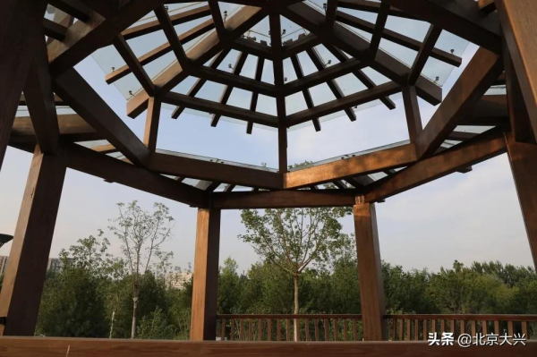 大興有處藏在城市中的“秘密花園”，超美！