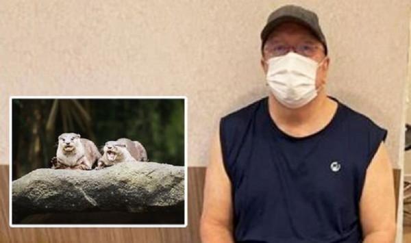 新加坡水獺圍攻英國男子險致其身亡，網友：鱷魚都被水獺吃光了？