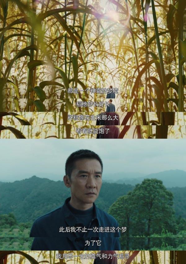 黑馬劇霸屏7大平臺,這8個人的故事成“王炸”:賺足了觀眾的眼淚 黑馬劇霸屏7大平臺,這8個人的故事成“王炸”:賺足了觀眾的眼淚