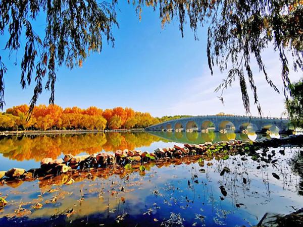 請君入孝義 邂逅秋天的浪漫