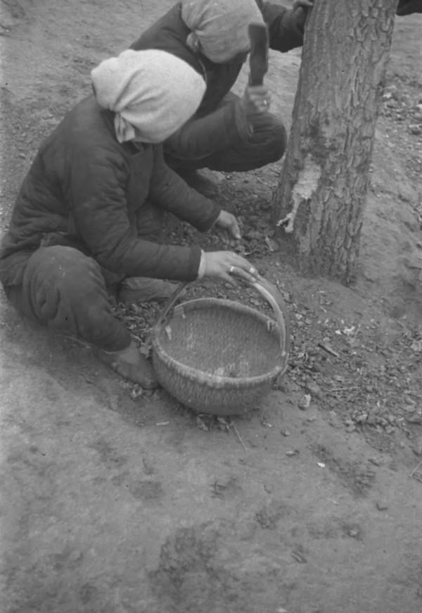 圖說民國：30張民國時期的老照片，講透底層社會的辛酸和悲哀