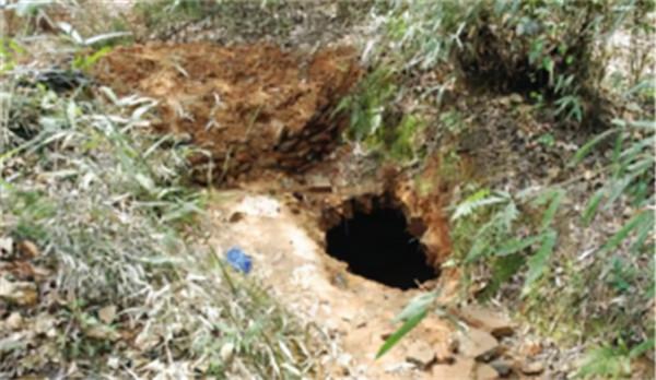 2018年，湖北農民家中祖墳被盜，警察趕來後，村民憶起往事