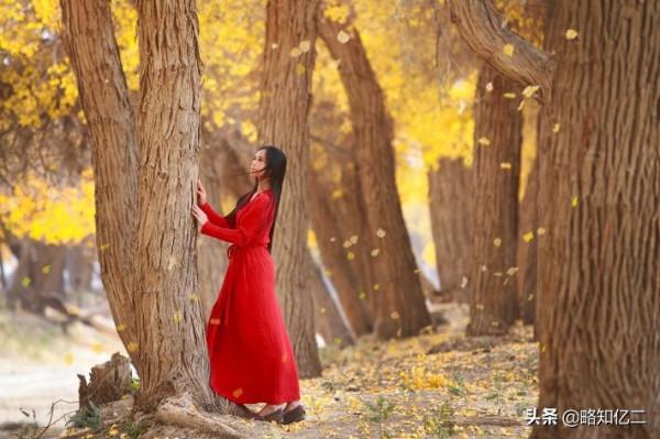 甘肅9-10月秋季旅遊必看西北大環線季節限定胡楊林