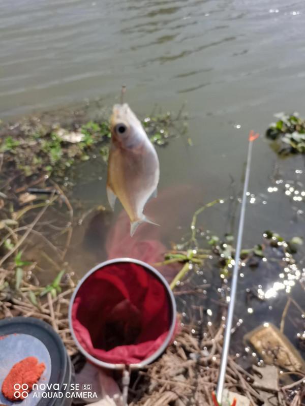 星期天,釣了一個寂寞 星期天,釣了一個寂寞