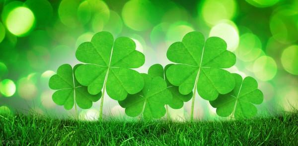 舍友輕生，我退租｜和中介溝通時，我發現，我所有的書都白讀了