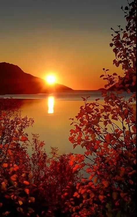 曹操所建立的魏國為什麼短短45年便滅亡了？