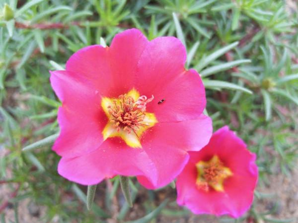 老年人體衰訊號不容忽視