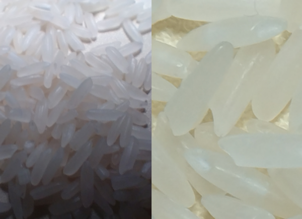 不懼高溫不畏嚴寒，夜視、測溫本領強：AGM G1 PRO深度評測