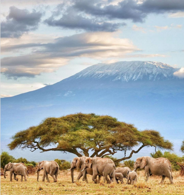 世界上最美的15座山峰！你想征服哪幾座