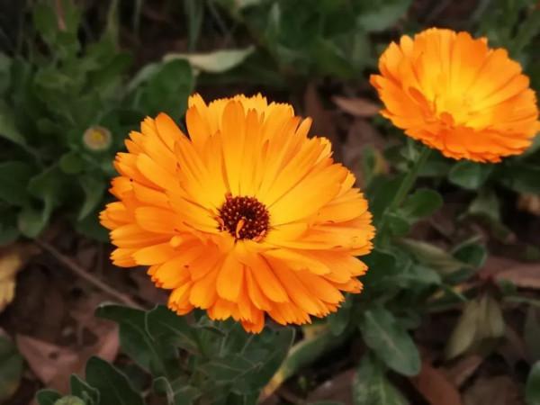 一年四季，這些“絕美”的瞬間你見到了嗎？