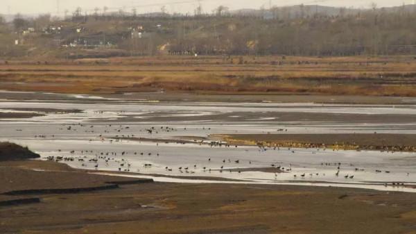 中國秋色正在上演!這9條自駕線,帶你領略不一樣的秋色 中國秋色正在上演!這9條自駕線,帶你領略不一樣的秋色