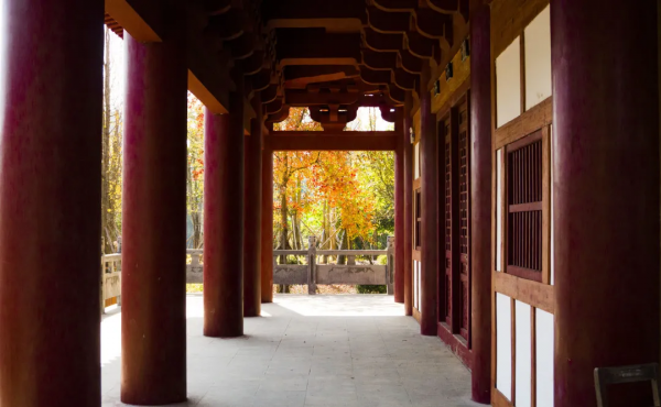 元旦帶上家人跟鐘山這位新晉“網紅”合個影吧！