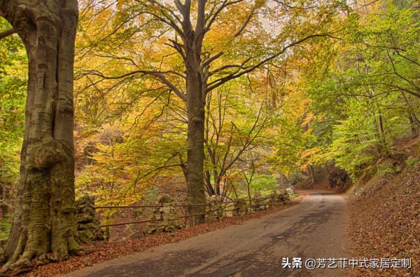 新中式遇上原木,素雅又清新,每一個角落都溫暖舒心 新中式遇上原木,素雅又清新,每一個角落都溫暖舒心