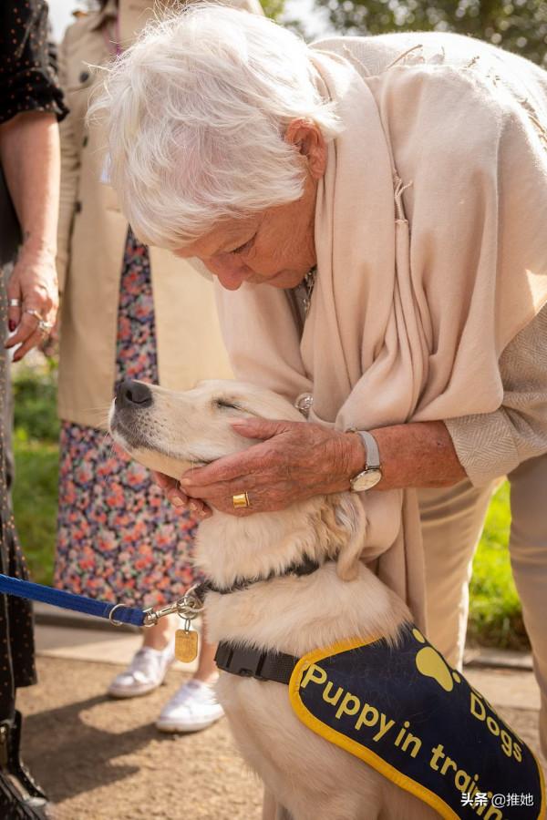 驚豔了109年,伊麗莎白女王的摯愛,又好看又好吃的切爾西花展 驚豔了109年,伊麗莎白女王的摯愛,又好看又好吃的切爾西花展