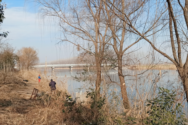 冬釣鯽魚，串鉤總是跑魚哪裡出了問題？老釣友逐一解讀，避免踩坑