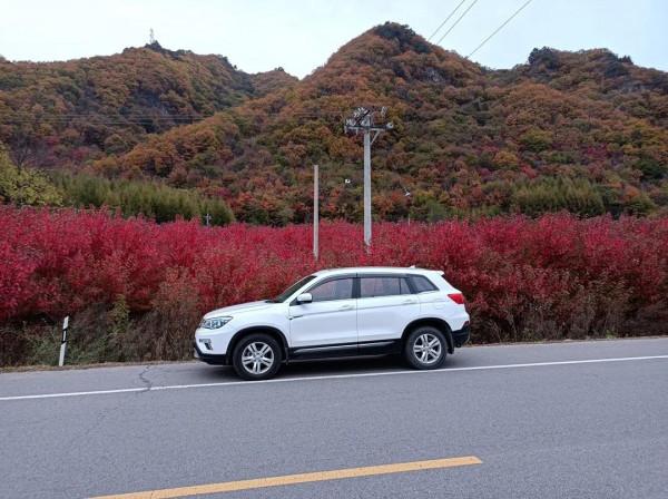 帶著我的大白,享受不同的風景 帶著我的大白,享受不同的風景