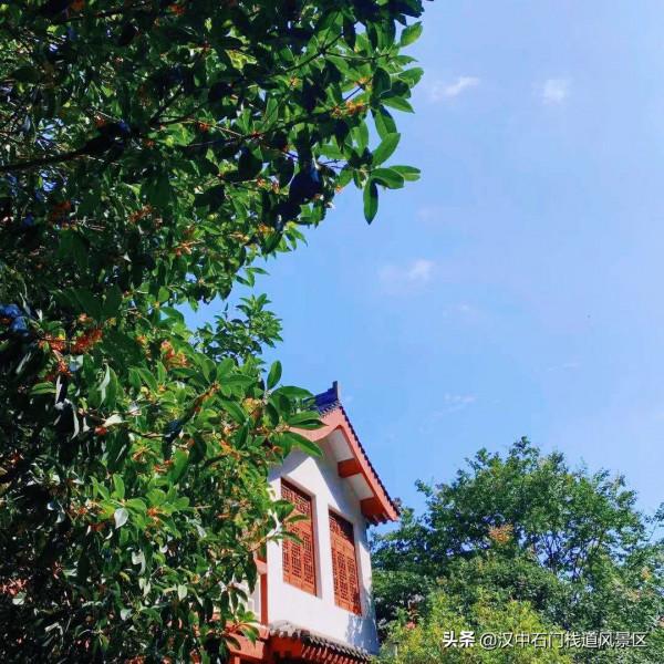 海上生明月 天涯共此時 海上生明月 天涯共此時